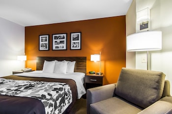 Standard Room, 1 King Bed, Non Smoking