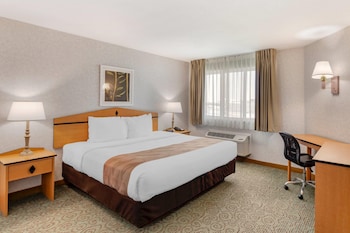 Suite, 1 King Bed, Non Smoking, Kitchen