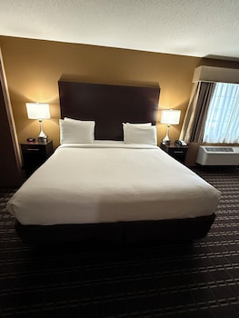 Suite, 1 King Bed, Non Smoking, Refrigerator & Microwave (Theme Room;with Sofabed)