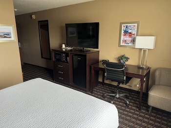 Standard Room, 1 Queen Bed, Non Smoking, Jetted Tub