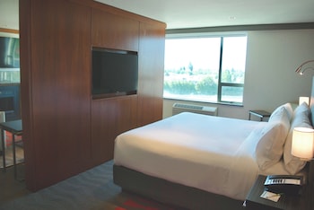 Suite, 1 King Bed with Sofa bed