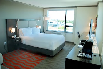 Standard Room, 1 Queen Bed, Accessible (Mobility, Roll-In Shower)
