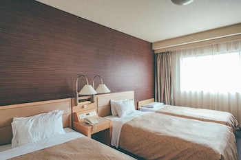 Triple Room, Non Smoking  (2 beds and 1 extra bed)