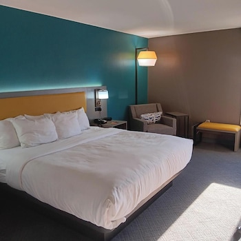 Standard Room, 1 King Bed, Non Smoking