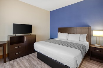 Standard Room, 1 King Bed, Non Smoking, Kitchen