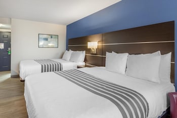 Standard Room, 2 Double Beds, Non Smoking, Kitchen