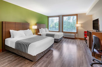 Standard Room, 2 Double Beds, Accessible, Kitchen