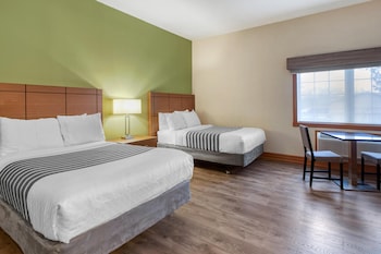 Standard Room, 2 Double Beds, Accessible, Kitchen