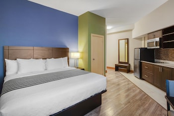 Standard Room, 1 King Bed, Non Smoking, Kitchen