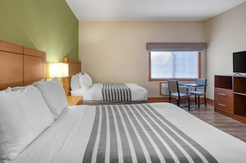 Standard Room, 2 Double Beds, Accessible, Kitchen