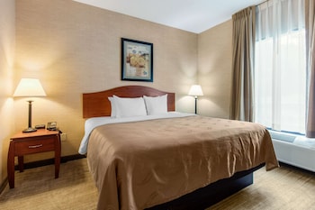 Suite, 1 King Bed with Sofa bed, Non Smoking (Larger Unit, 2 Person Sofa bed)