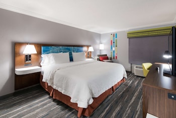 Room, 1 King Bed, Accessible