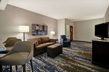 Suite, 1 King Bed