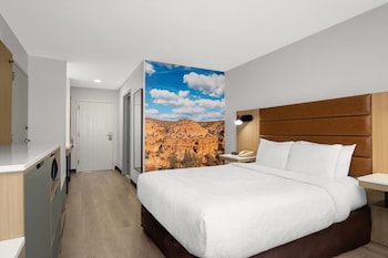 Room, 1 Queen Bed, Non Smoking