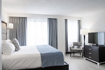 Room, 1 Queen Bed with Sofa bed