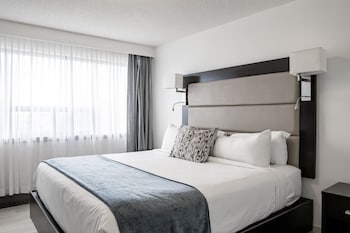 Luxury Suite, 1 Queen Bed with Sofa bed