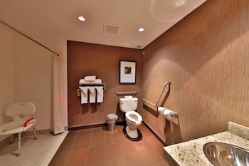 Premium Room, 1 King Bed, Accessible
