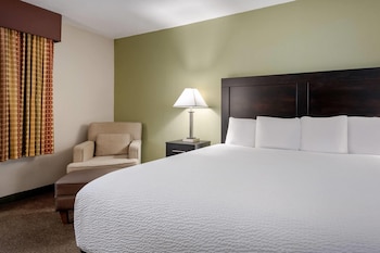 Standard Room, 1 King Bed, Non Smoking