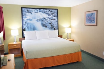 Suite, 1 King Bed