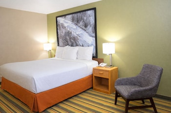 Standard Room, 1 King Bed