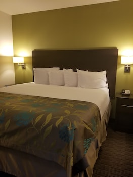 Studio Suite, 1 King Bed, Non Smoking