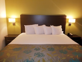 Standard Room, 1 Queen Bed, Accessible