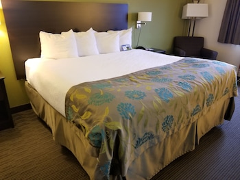 Studio Suite, 1 King Bed, Non Smoking