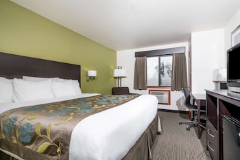 Studio Suite, 1 King Bed, Non Smoking