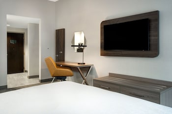 Standard Room, 1 King Bed, Accessible (Accessible Shower, Chaise)