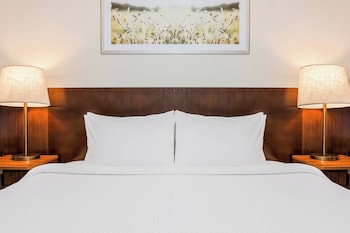 Room, 1 King Bed with Sofa bed