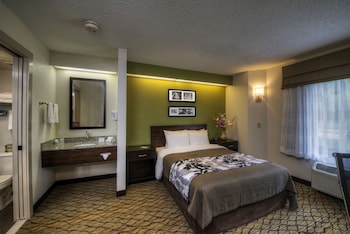 Room, 1 Queen Bed, Accessible, Non Smoking