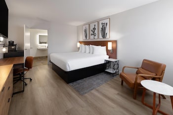Room, 1 King Bed, Accessible, Non Smoking (Mobility, Roll-in Shower)