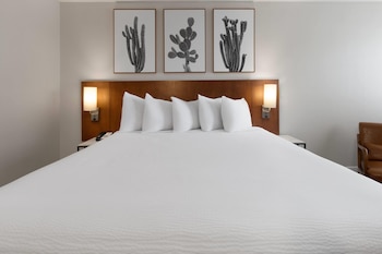 Room, 1 King Bed, Accessible, Non Smoking (Mobility, Roll-in Shower)
