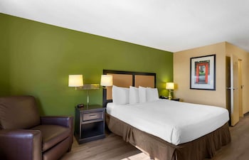 Room, 1 King Bed, Non Smoking, Kitchen (Shower)