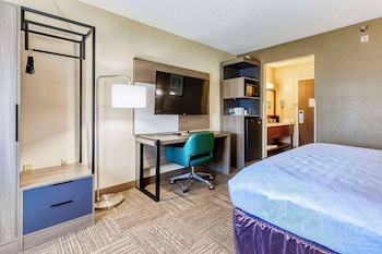 Standard Room, 1 King Bed, Non Smoking