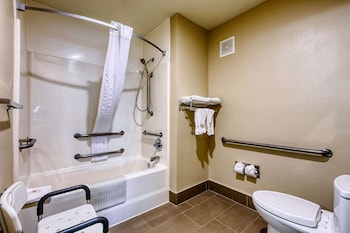 Room, 1 King Bed, Accessible, Non Smoking