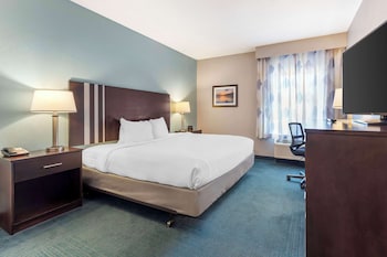 Standard Room, 1 Queen Bed, Accessible, Non Smoking