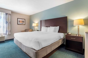 Suite, 1 King Bed, Accessible, Bathtub (with Sofabed)