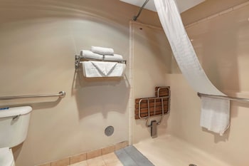 Standard Room, 1 King Bed, Non Smoking, Refrigerator & Microwave