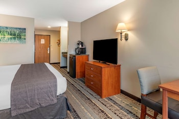 Standard Room, 1 King Bed, Accessible, Non Smoking