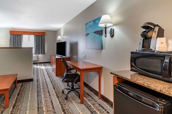 Standard Room, 1 King Bed, Non Smoking, Refrigerator & Microwave