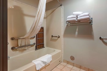 Standard Room, 1 King Bed, Non Smoking, Refrigerator & Microwave