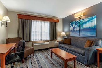 Standard Room, 1 King Bed, Non Smoking, Microwave