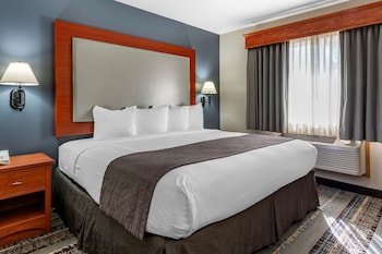 Standard Room, 1 King Bed, Non Smoking, Refrigerator & Microwave