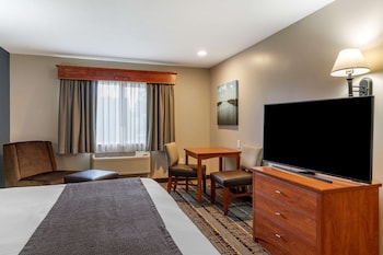 Standard Room, 1 King Bed, Non Smoking, Refrigerator & Microwave