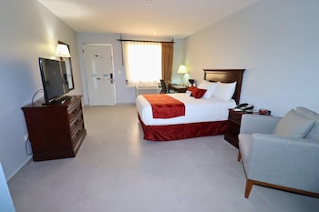 Room, 1 Double Bed, Non Smoking (Accesible)