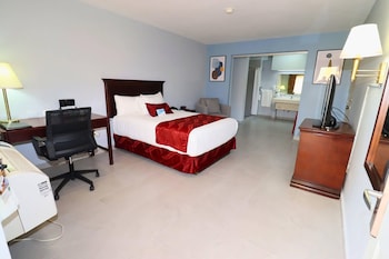 Room, 1 Double Bed, Non Smoking (Accesible)