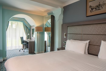 Superior Room, 1 King Bed, Non Smoking (Converts to 2 Twin Beds;with Sofabed)