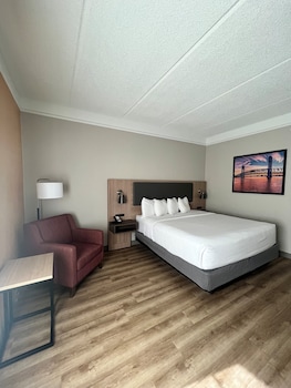 Room, 1 King Bed, Non Smoking