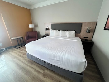 Room, 1 King Bed, Accessible, Non Smoking (Mobility/Hearing, roll-in shower)